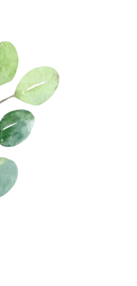 shape
