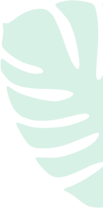 shape