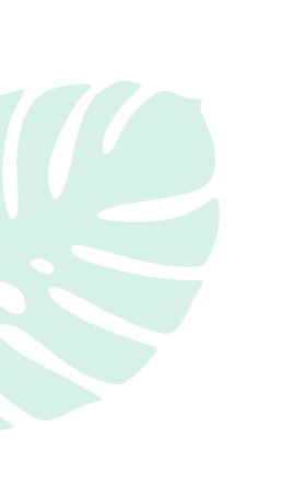 shape